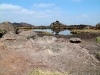 fs000121