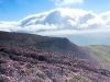 dscf0697
