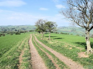 IMG_4863