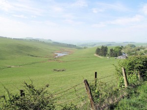 IMG_4866