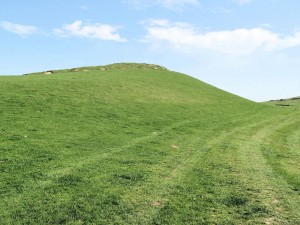 IMG_4873