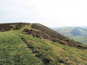 IMG_4899