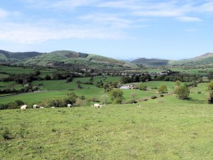 IMG_5165