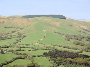 IMG_5169
