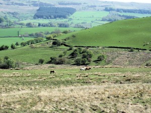 IMG_5188