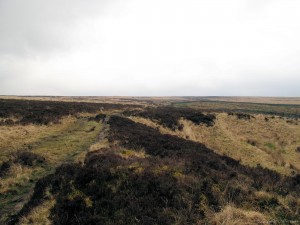 Pennine Way - Heptonstall Moor