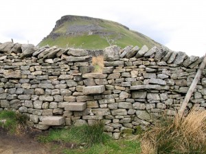 Pennine Way - on the approach to Penyghent