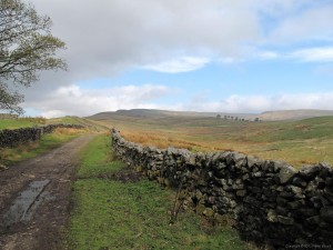 IMG_2130 Pennine Way - lane from Hardraw to the fells