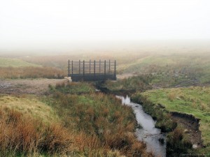IMG_2269 Pennine Way - Cotherstone Moor
