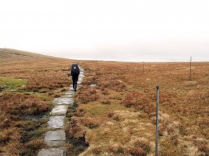 IMG_2486 Pennine Way - Great Dun Fell