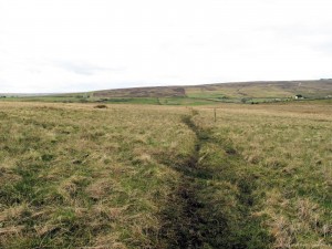 Pennine Way - Maiden Way section