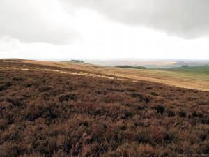Pennine Way - Troughend Common