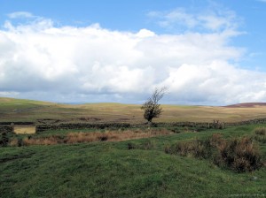 Pennine Way - Troughend Common