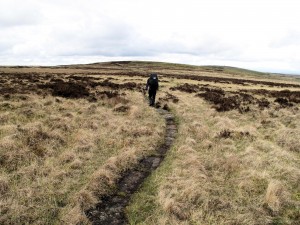 Pennine Way - Padon Hill