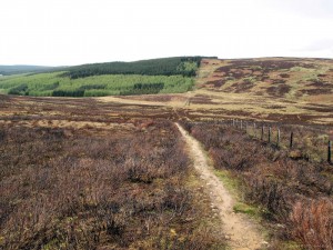 Pennine Way - Padon Hill