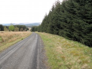 Pennine Way - Redesdale Forest
