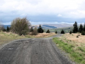 Pennine Way - Redesdale Forest view to Cheviots