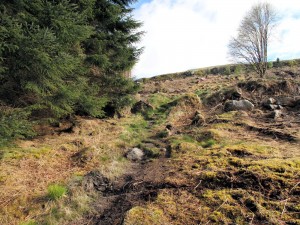 Pennine Way - the climb out of Byrness