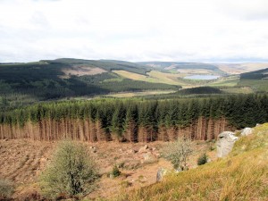 Pennine Way - view South over Byrness