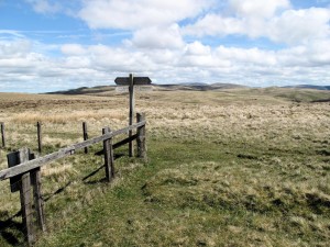 Pennine Way - The Cheviots