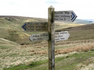 Pennine Way - The Cheviots