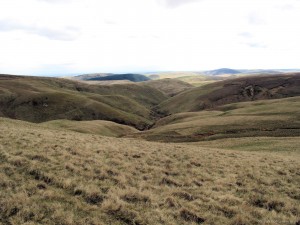 Pennine Way - The Cheviots