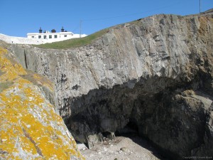 IMG_5315