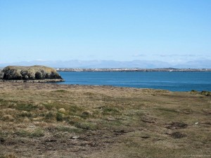 IMG_5365