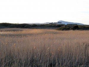 IMG_5375