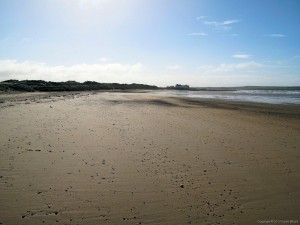 IMG_5463