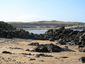 IMG_5473
