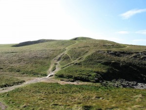 IMG_5478
