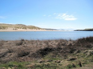 IMG_5505