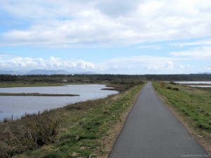 IMG_5525