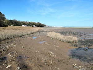 IMG_5787