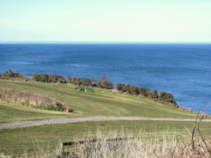 IMG_5793