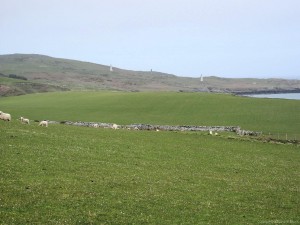 IMG_6037