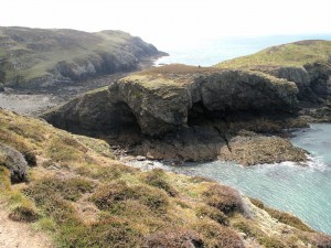 IMG_6055