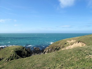 IMG_6077
