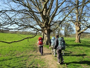 Cotswold Way - Stanton to Stanway