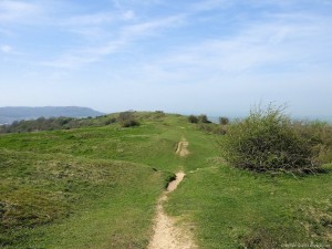 Cotswold Way - Cam Long Down