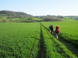 Cotswold Way - approaching North Nibley