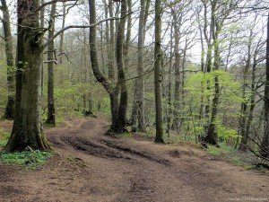 Cotswold Way - Nibley Knoll