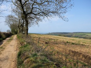Cotswold Way - Wortley Hill