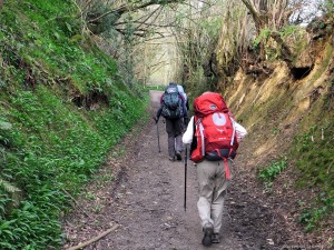 Cotswold Way - Clay Hill