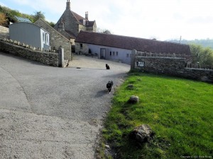 Cotswold Way - Hill Farm near Cold Ashton